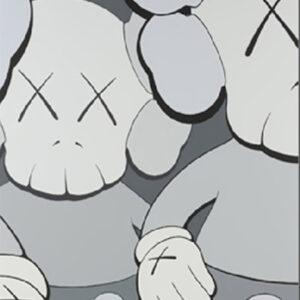 Kaws Double01