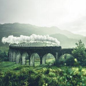 Легка зелена природа06