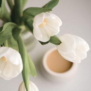 Верба01